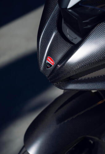 Ducati Multistrada V4 RS (125)