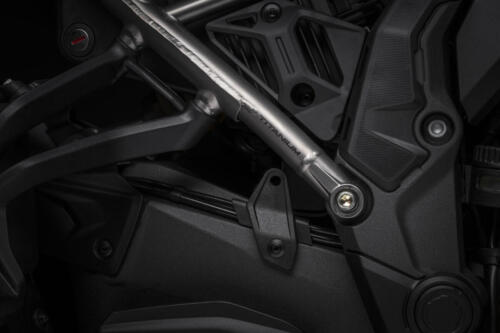Ducati Multistrada V4 RS (165)