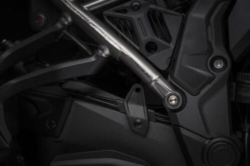 Ducati Multistrada V4 RS (165)