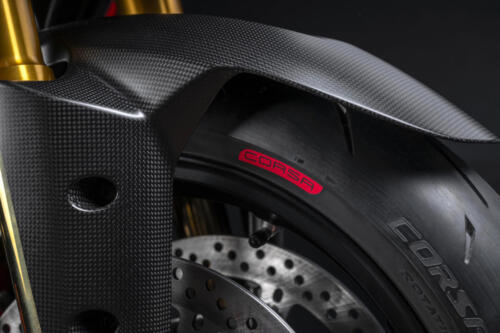 Ducati Multistrada V4 RS (199)