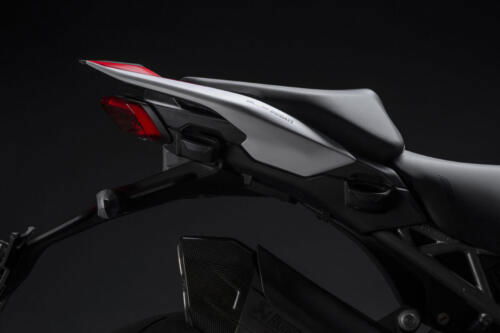 Ducati Multistrada V4 RS (204)