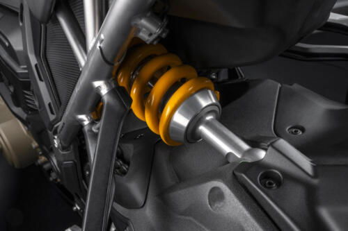 Ducati Multistrada V4 RS (211)