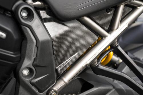 Ducati Multistrada V4 RS (22)