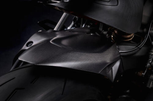Ducati Panigale V2 Superquadro Final Edition (43)