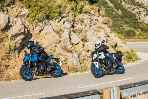 GSX800RQM3_action_100