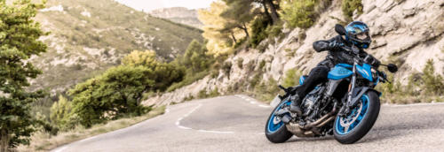 GSX800RQM3_action_108