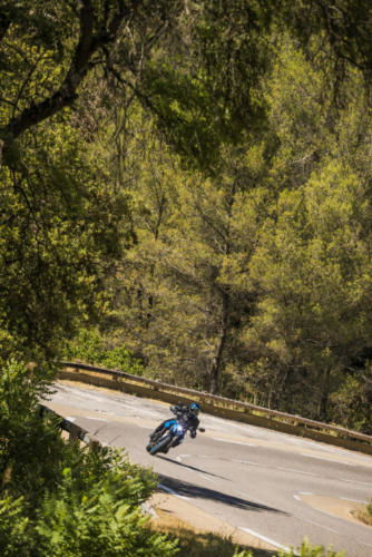 GSX800RQM3_action_119