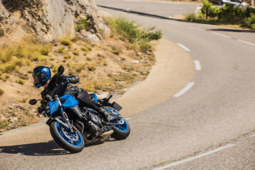 GSX800RQM3_action_124