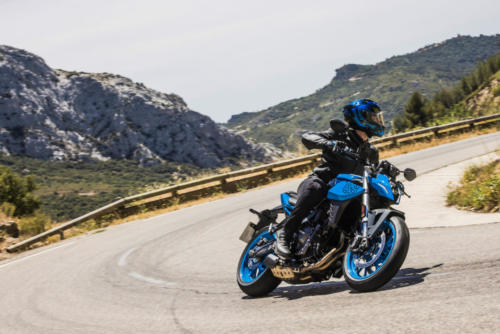 GSX800RQM3_action_19