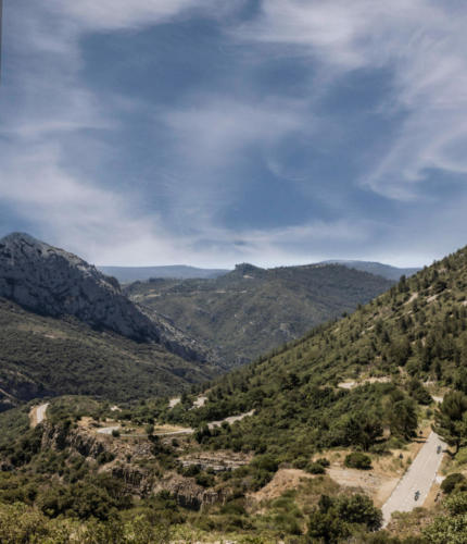 GSX800RQM3_action_85