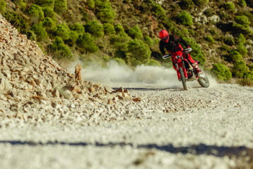 GasGas EC 250 - 2023 (14)