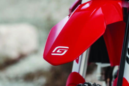 GasGas EC 250F (31)