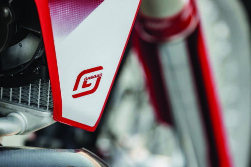 GasGas EC 300 - 2023 (22)