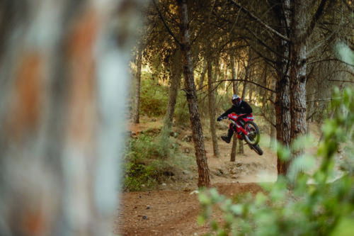 GasGas EC 350F - 2023 (49)