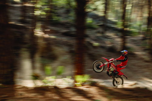 GasGas EC 350F - 2023 (67)