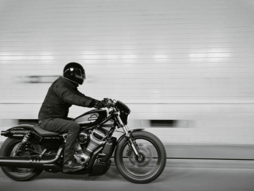2022 Nightster Imagery