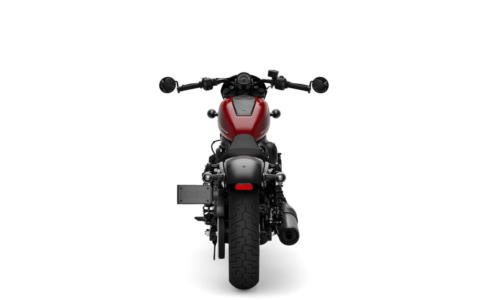 Harley-Davidson Nightster (50)