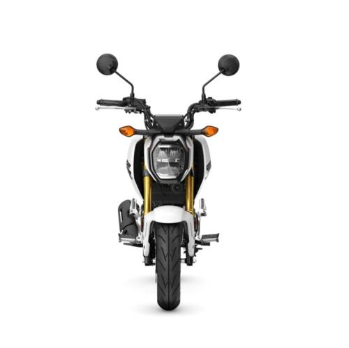25YM HONDA MSX125 GROM