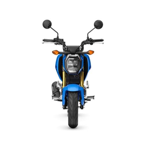 25YM HONDA MSX125 GROM