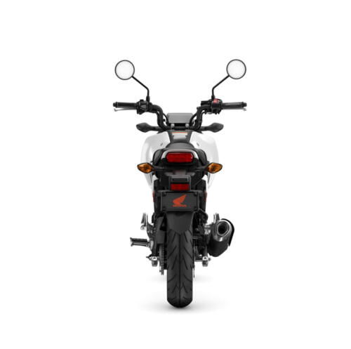 25YM HONDA MSX125 GROM