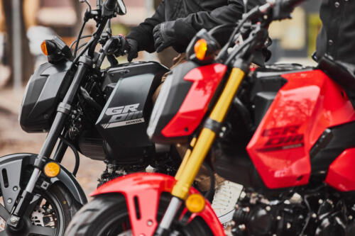 25YM HONDA MSX125 GROM