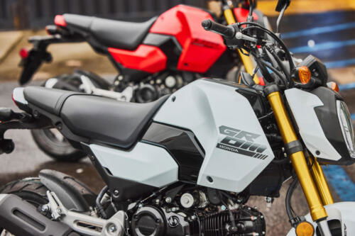 25YM HONDA MSX125 GROM