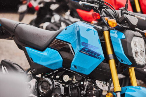 25YM HONDA MSX125 GROM