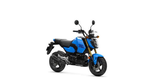 25YM HONDA MSX125 GROM