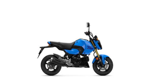 25YM HONDA MSX125 GROM