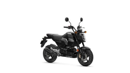 25YM HONDA MSX125 GROM