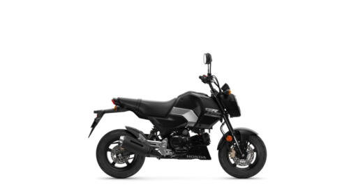 25YM HONDA MSX125 GROM
