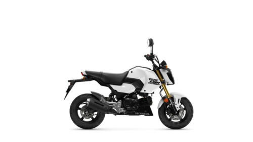 25YM HONDA MSX125 GROM