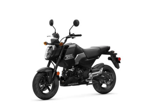 25YM HONDA MSX125 GROM