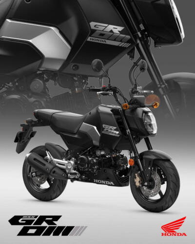 25YM HONDA MSX125 GROM