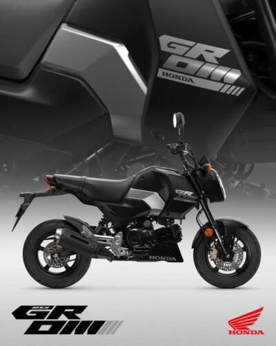 25YM HONDA MSX125 GROM