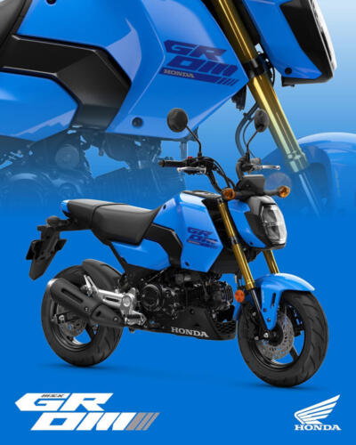 25YM HONDA MSX125 GROM