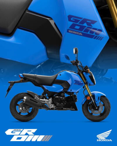 25YM HONDA MSX125 GROM