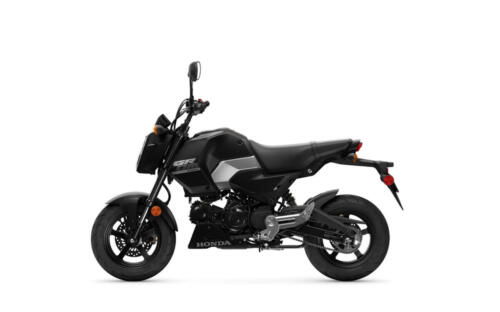 25YM HONDA MSX125 GROM