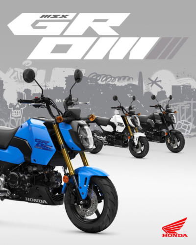 25YM HONDA MSX125 GROM