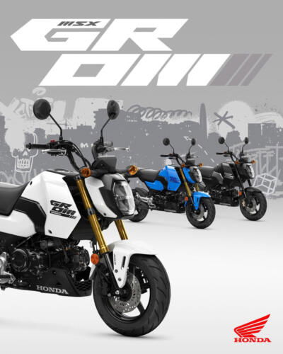 25YM HONDA MSX125 GROM