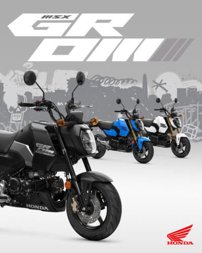 25YM HONDA MSX125 GROM