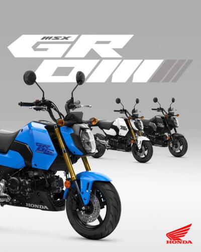 25YM HONDA MSX125 GROM