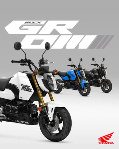 25YM HONDA MSX125 GROM