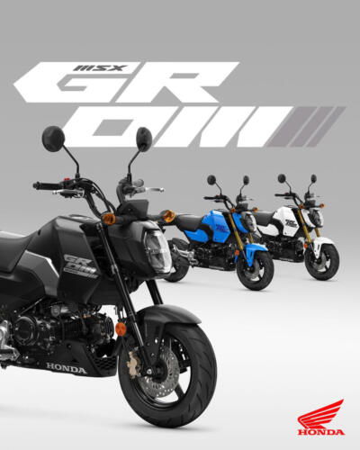 25YM HONDA MSX125 GROM
