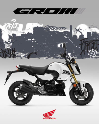 25YM HONDA MSX125 GROM