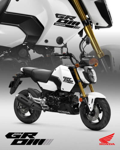 25YM HONDA MSX125 GROM