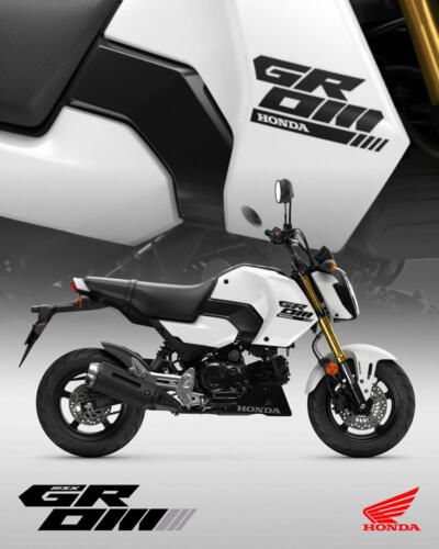 25YM HONDA MSX125 GROM