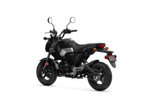 25YM HONDA MSX125 GROM