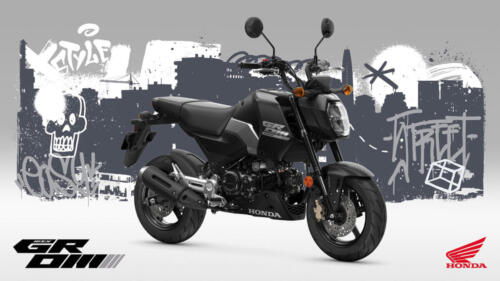 25YM HONDA MSX125 GROM