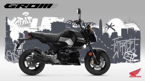 25YM HONDA MSX125 GROM